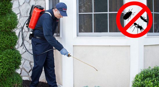 Sığacık Hamam Böceği İlaçlama böcek ilaçlama ve haşere kontrolü — ilaclama-tr.com